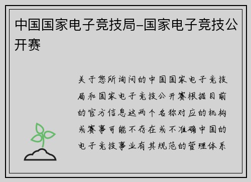 中国国家电子竞技局-国家电子竞技公开赛
