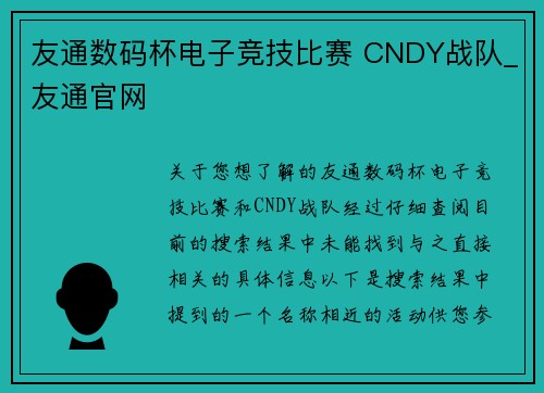 友通数码杯电子竞技比赛 CNDY战队_友通官网